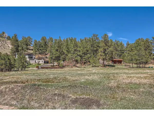 Franktown, CO 80116,1559 Apex Rd