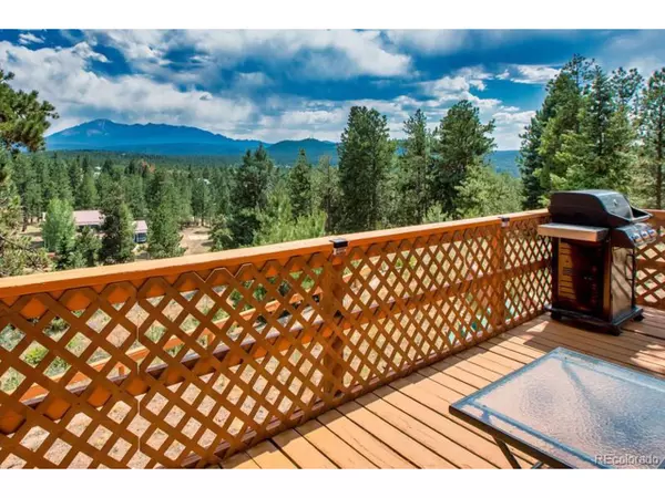 Woodland Park, CO 80863,235 Ute Trl