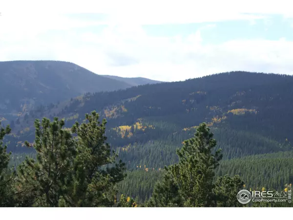 2 County Road 128, Nederland, CO 80466