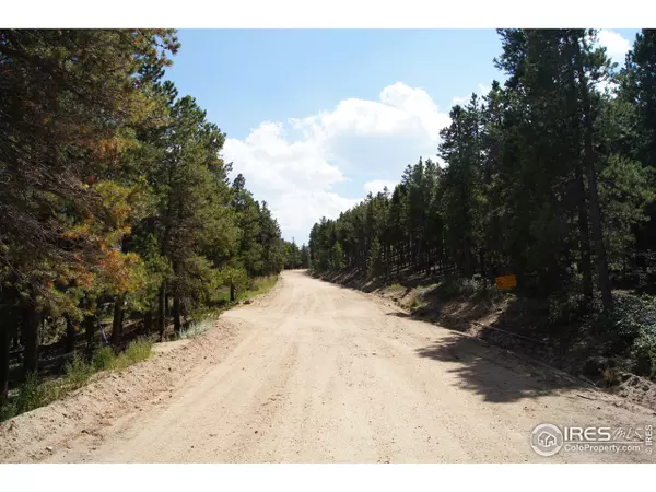 Nederland, CO 80466,79 Wildewood Dr