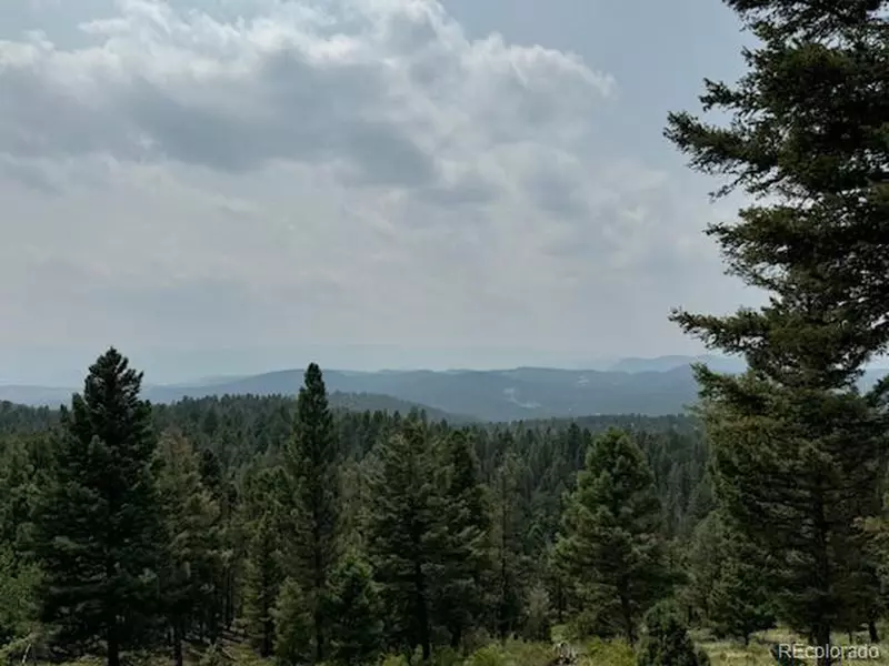 Ponderosa Dr, Conifer, CO 80433