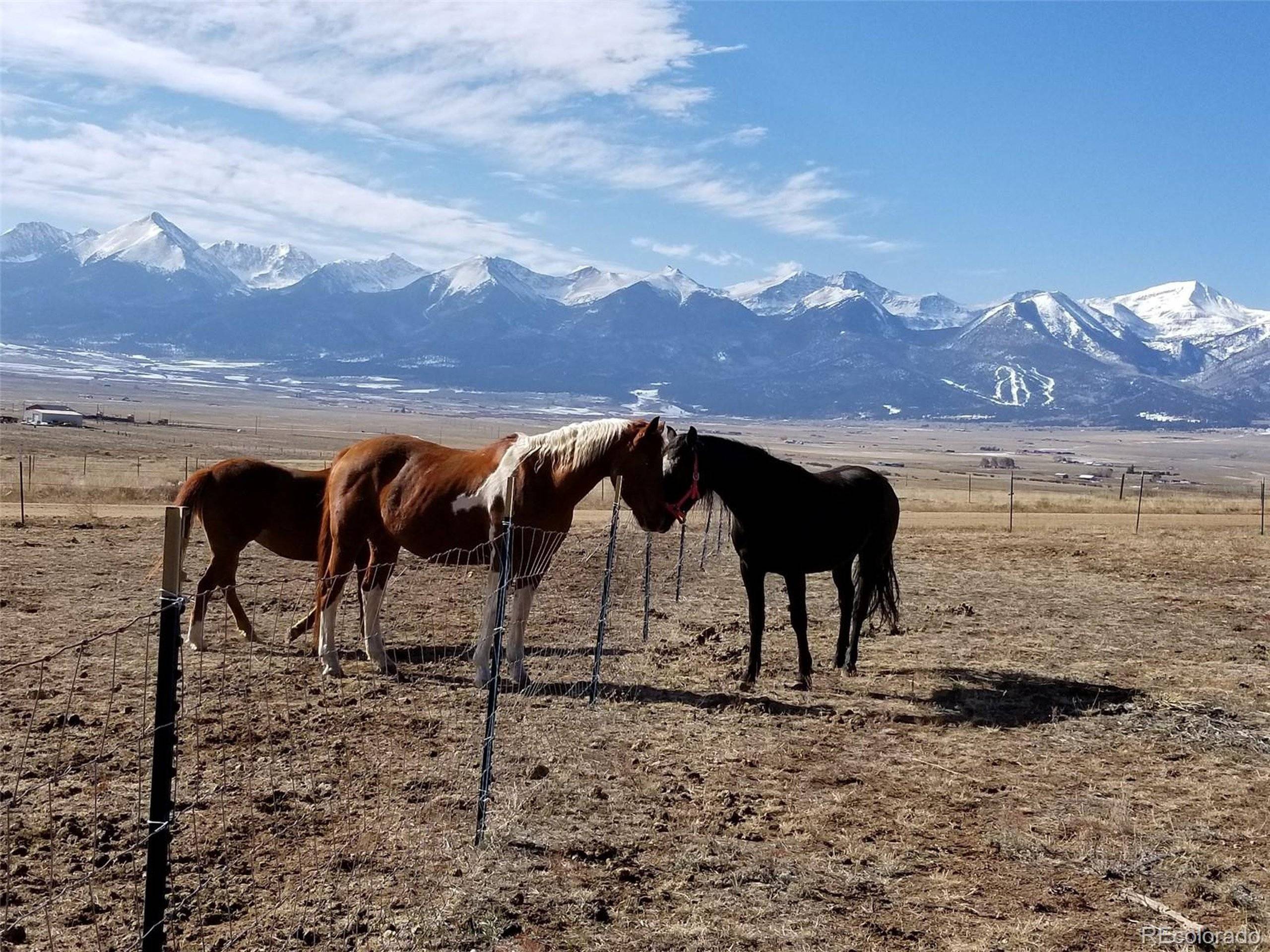Westcliffe, CO 81252,378 Lone Tree Cir