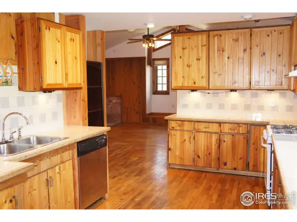 Nederland, CO 80466,572 W Pine St