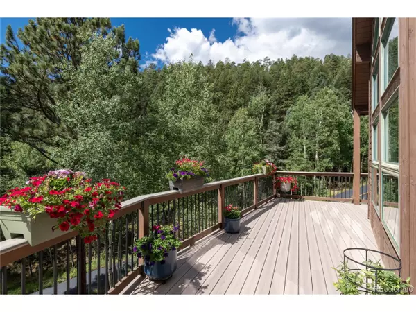 Conifer, CO 80433,13328 Elsie Rd