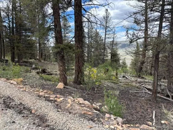 Fairplay, CO 80440,Middle Fork Vista