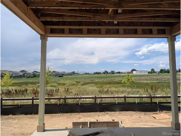 Mead, CO 80542,16873 Ballinger Cir