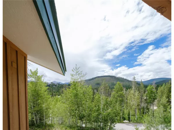221 Van Anderson Dr #1A, Winter Park, CO 80482