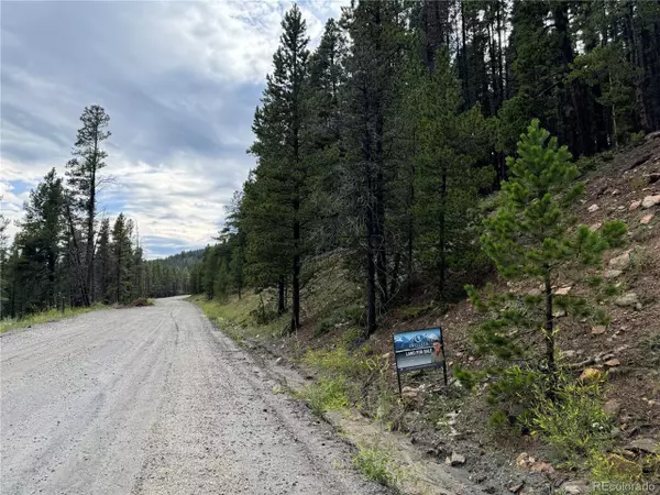 Idaho Springs, CO 80452,0 Alice Rd