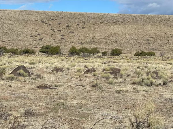 La Jara, CO 81140,TBD Lot 2