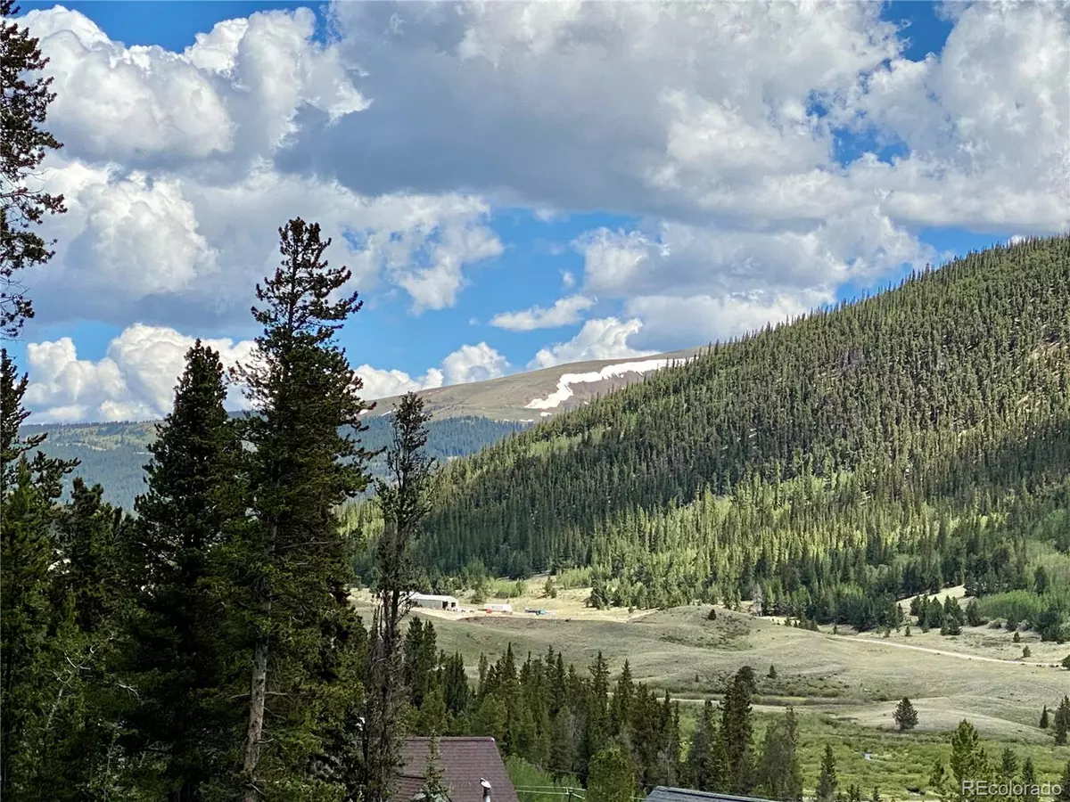 Alma, CO 80420,38 Spruce St