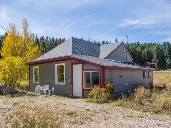 470 W 3rd St, Nederland, CO 80466