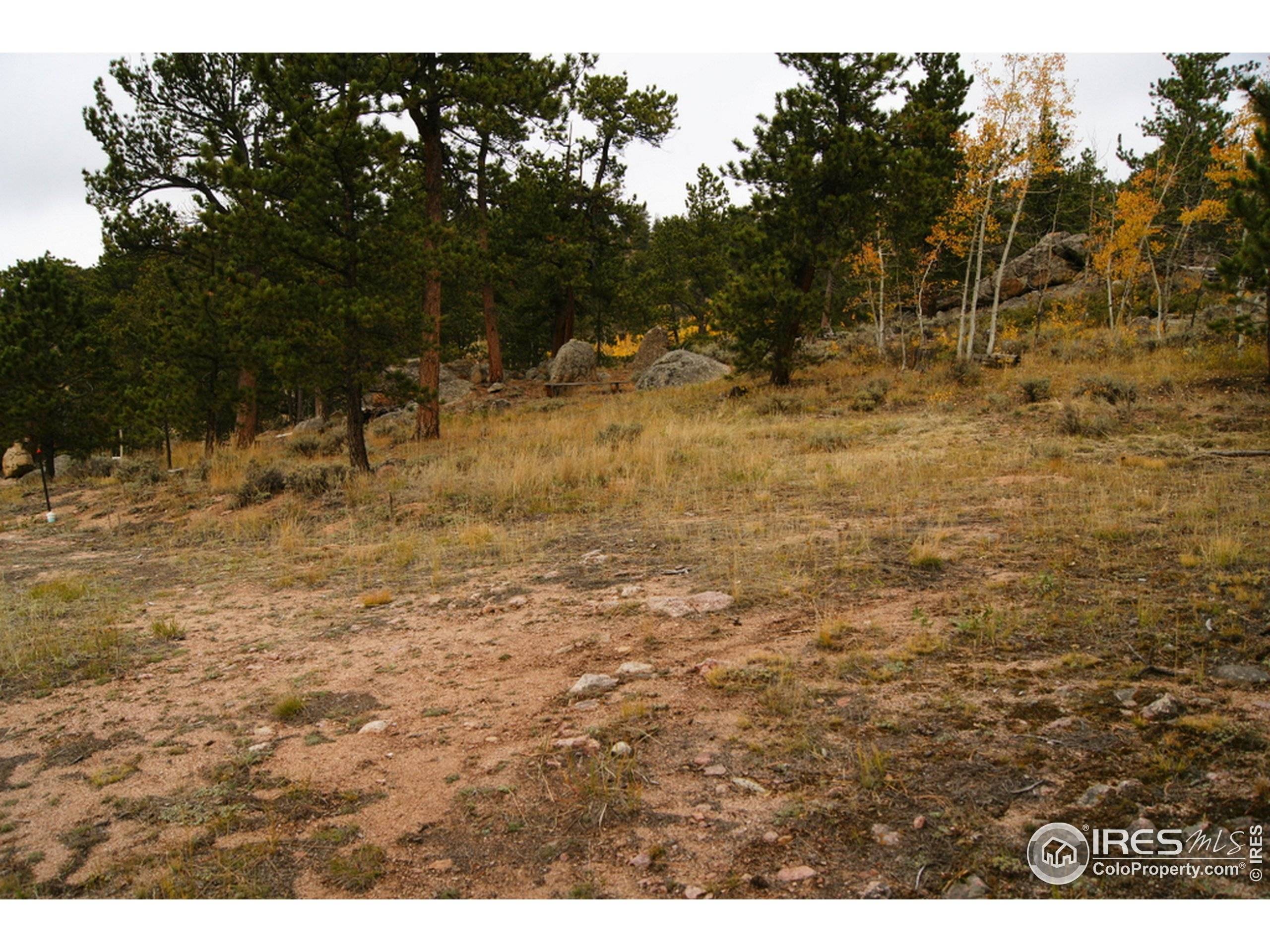 Red Feather Lakes, CO 80545,556 Nowata Dr