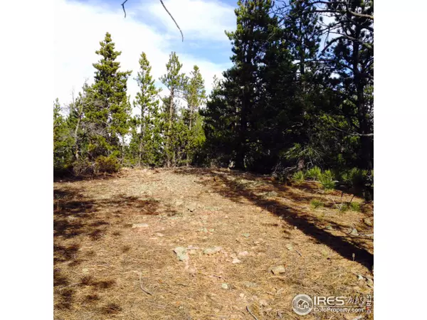 Nederland, CO 80466,315 Indian Peaks Dr