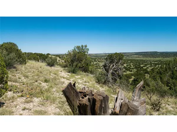 Pueblo, CO 81005,Address not disclosed
