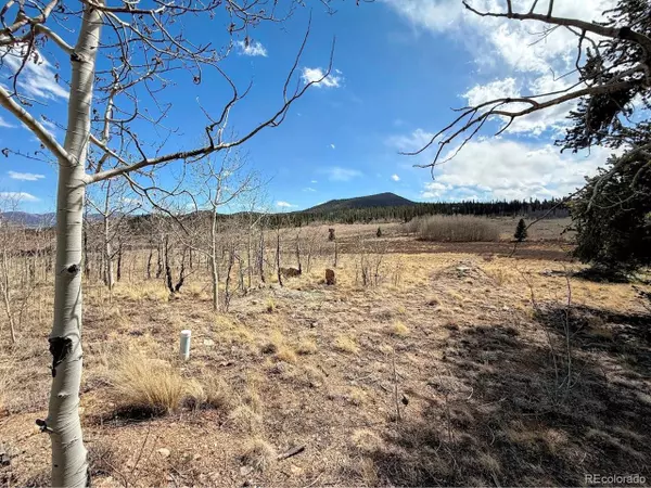 Jefferson, CO 80456,1238 Overland Cir