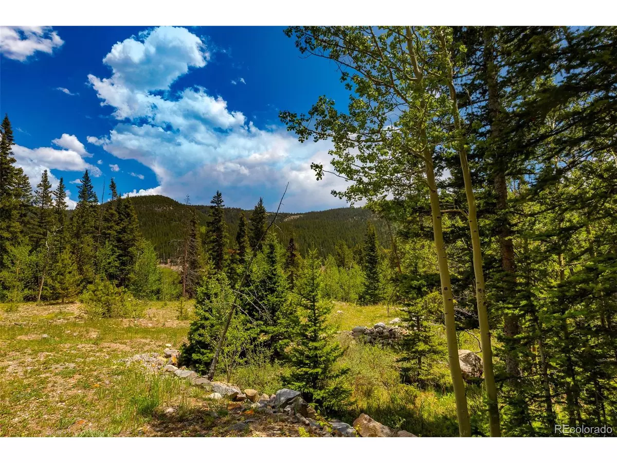 Alma, CO 80420,522 Quartzville Rd