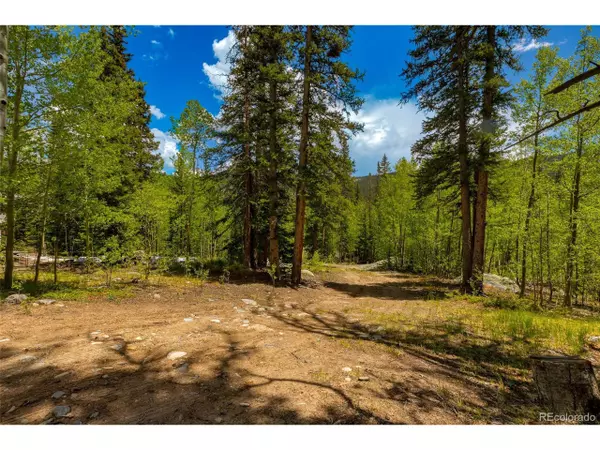 Alma, CO 80420,522 Quartzville Rd