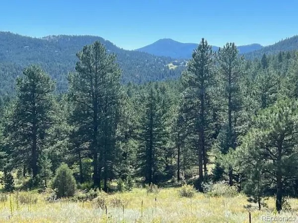 TBD Barney Gulch Rd, Conifer, CO 80433