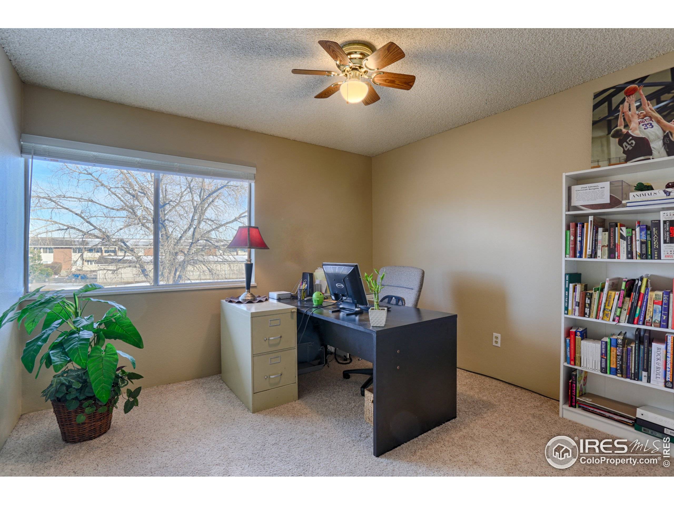 Boulder, CO 80301,5110 Williams Fork Trl #211