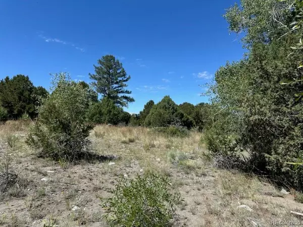 Mosca, CO 81146,216 Colima Pl