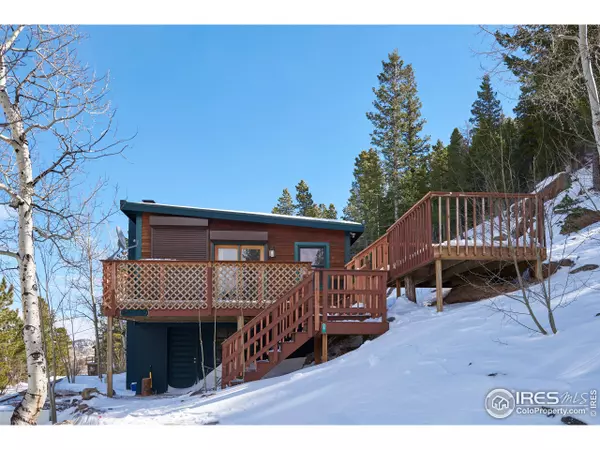 24 E Pine St, Nederland, CO 80466