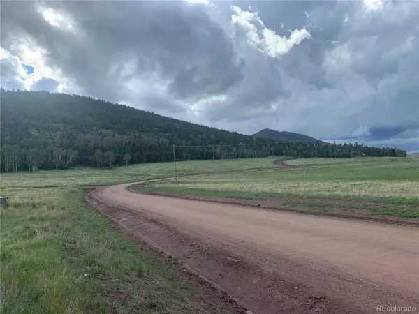 Fort Garland, CO 81133,2941 FORBES PARK Rd