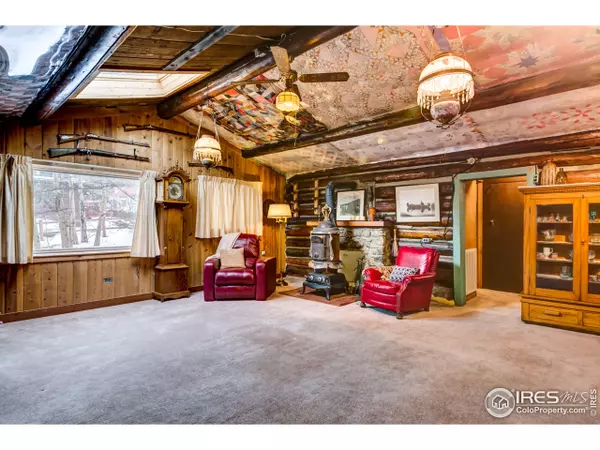 Nederland, CO 80466,545 Eldorado Ave