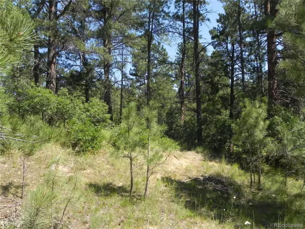 Larkspur, CO 80118,745 Poncho Rd