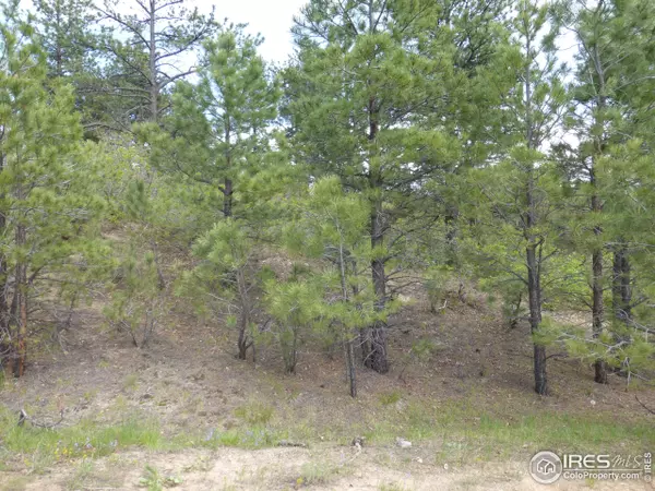 Larkspur, CO 80118,2372 Veronica Rd