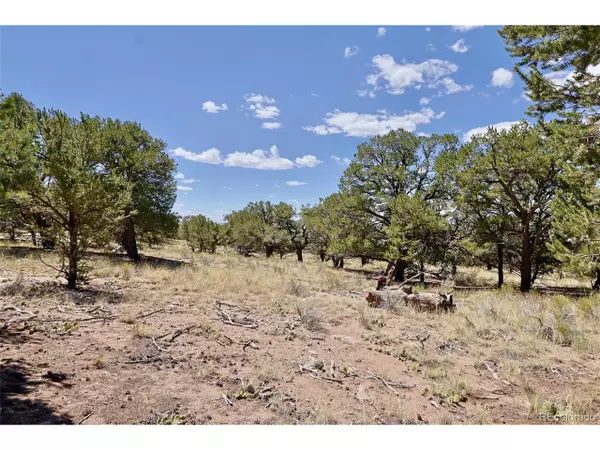 Crestone, CO 81131,4446 Rarity Way