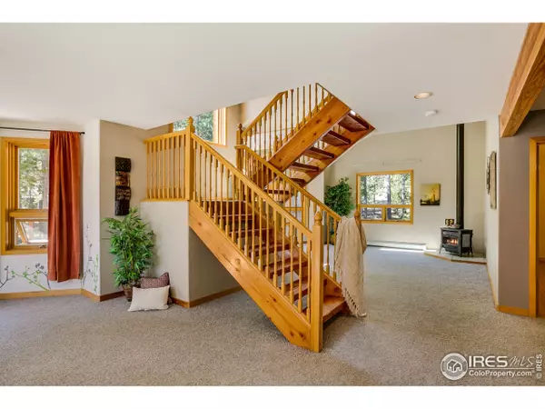 Nederland, CO 80466,274 Sky View Dr N