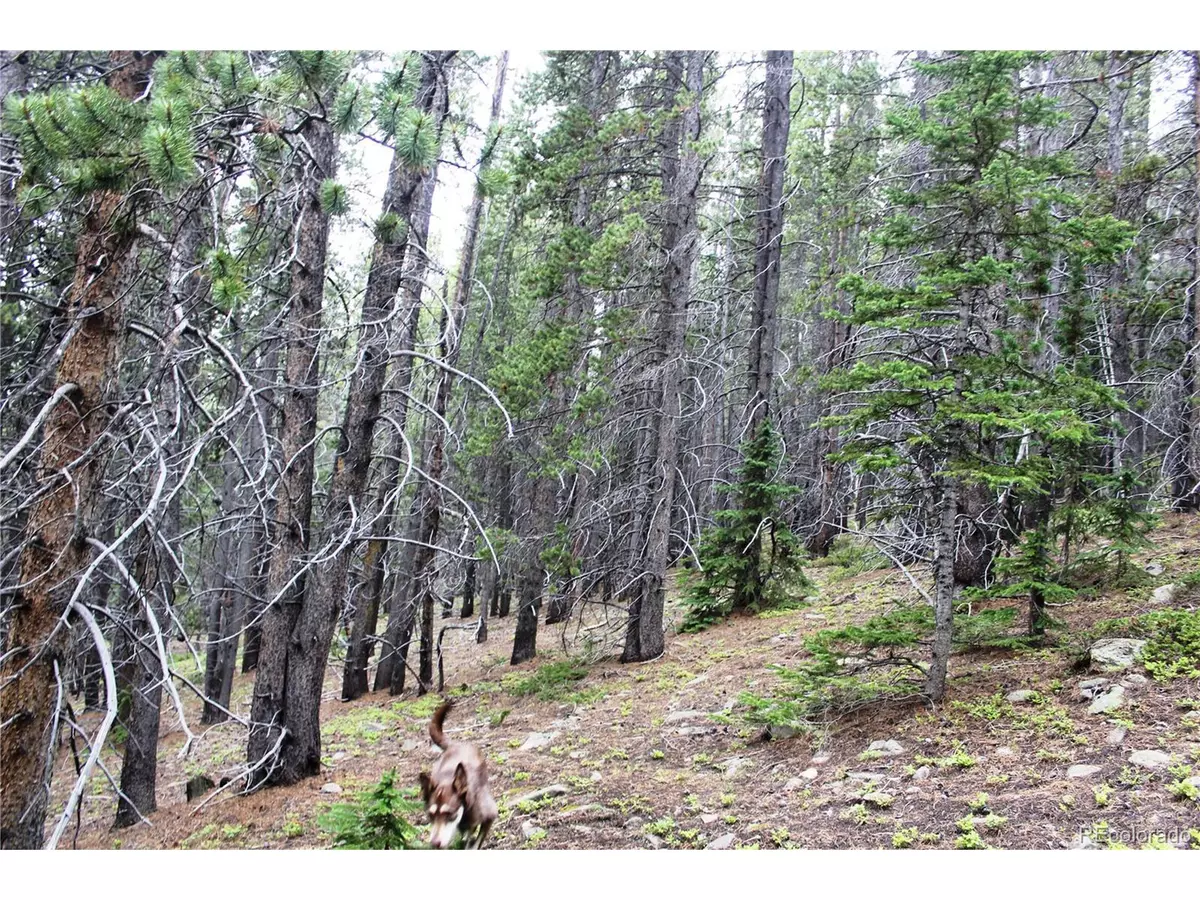 Idaho Springs, CO 80452,2 Lamartine Rd
