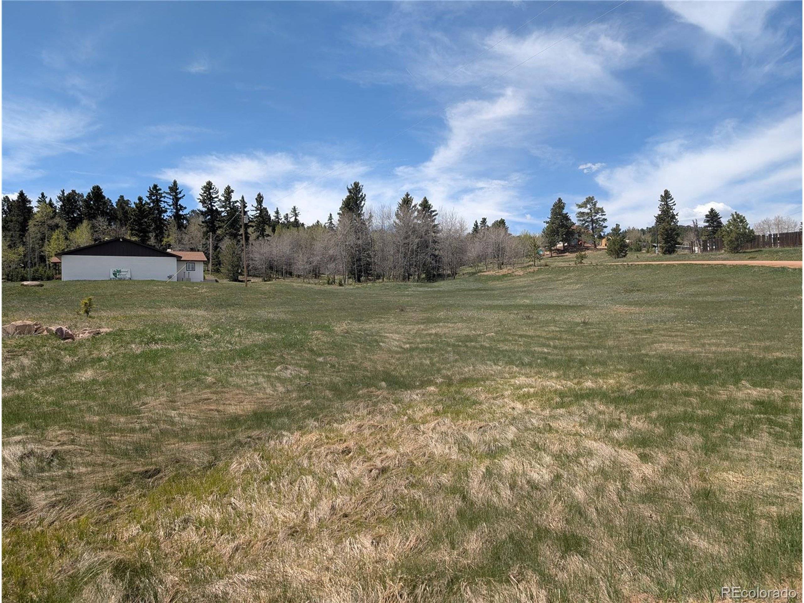 Divide, CO 80814,81 Fountain Dale Ln
