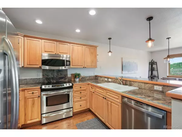 Dillon, CO 80435,113 Lookout Ridge Dr
