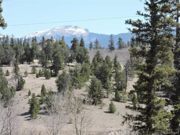 Como, CO 80432,815 Nez Perce Rd