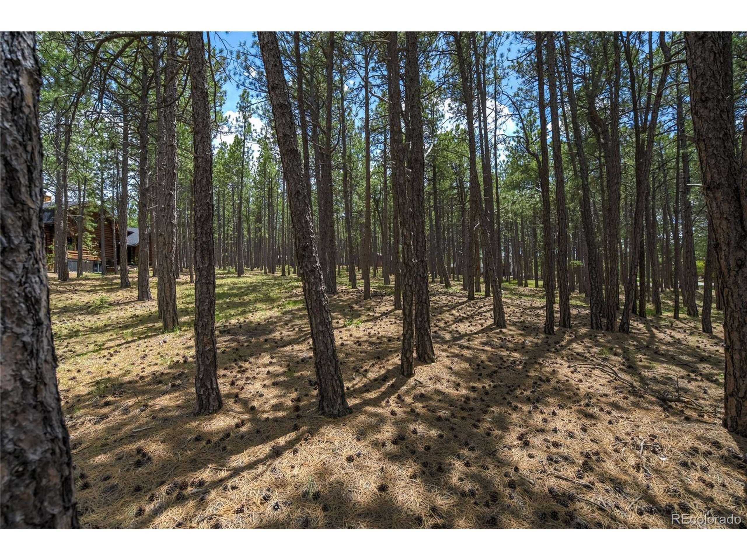 Monument, CO 80132,17960 Smugglers Rd
