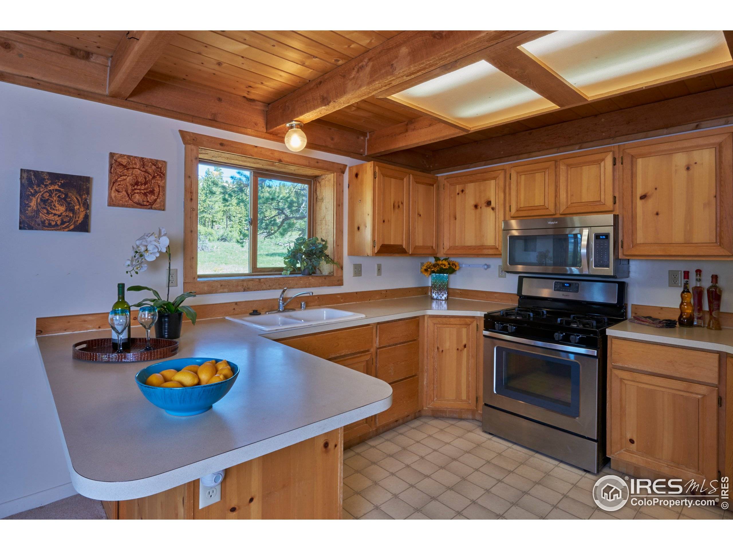 Nederland, CO 80466,403 Hurricane Hill Dr
