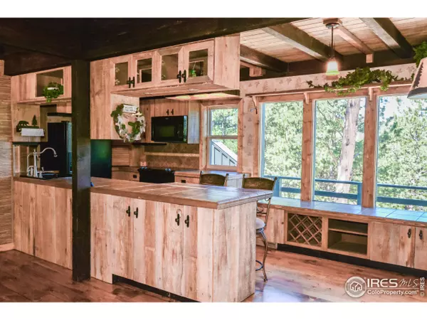 Allenspark, CO 80540,162 Arrowood Dr