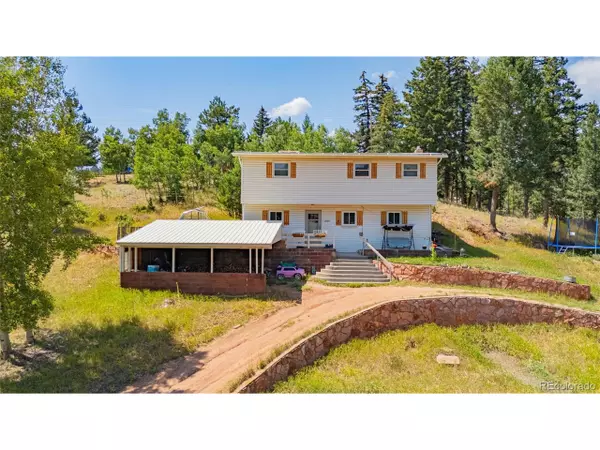 1030 Woodland Ave, Woodland Park, CO 80863