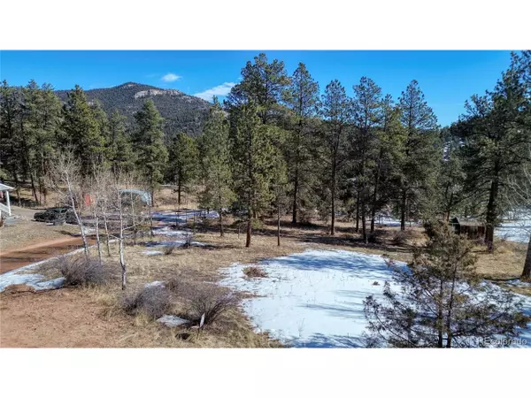 12362 Polly Dr, Pine, CO 80470