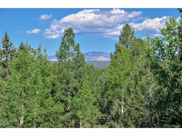 Divide, CO 80814,1307 County Road 512