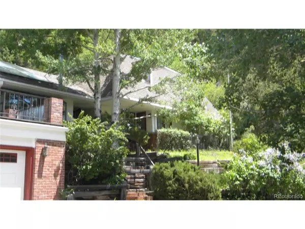 203 9th St, Georgetown, CO 80444