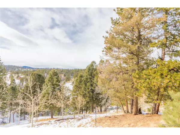 Divide, CO 80814,367 Cottonwood Lake Dr