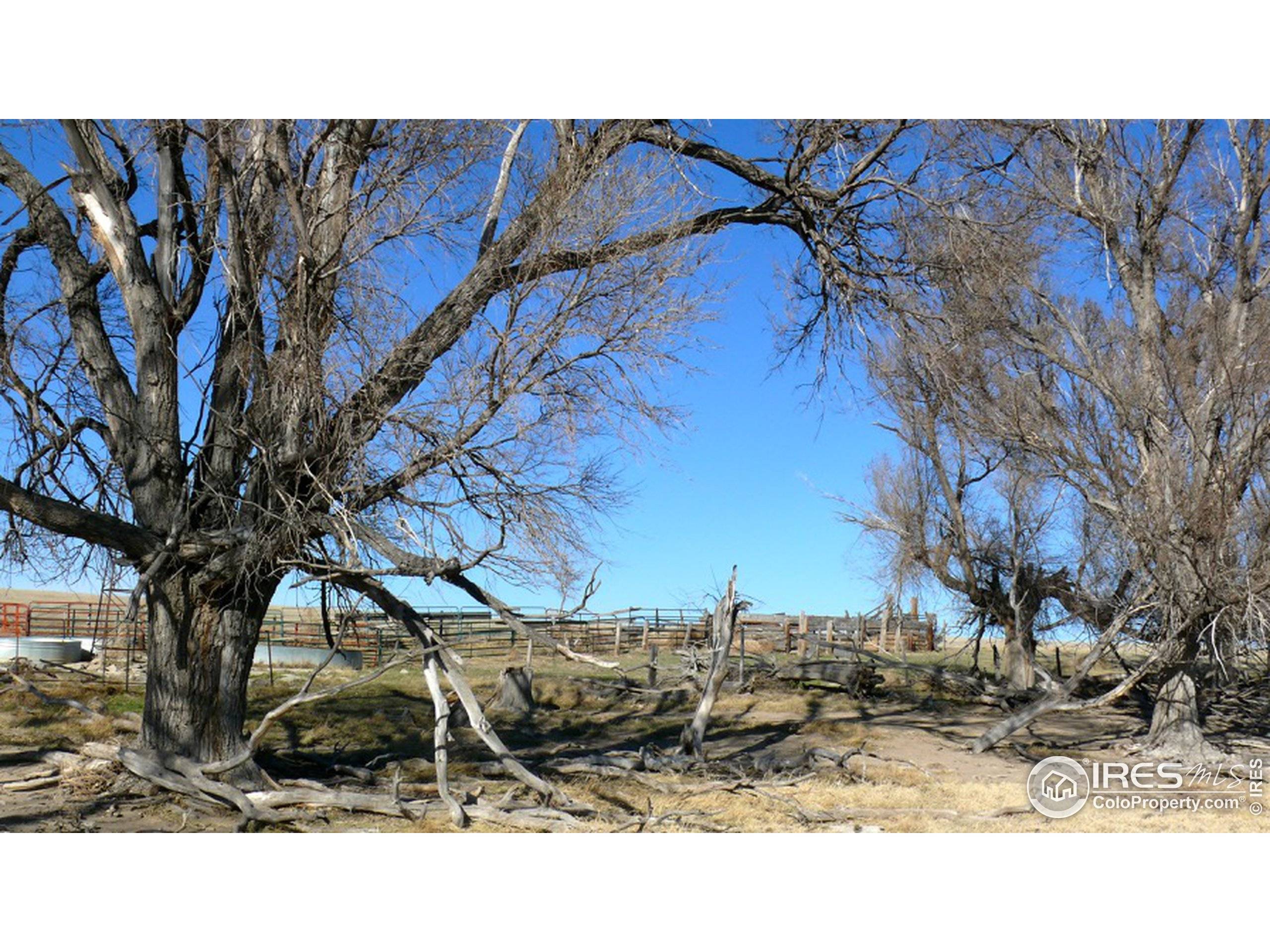 Brush, CO 80723