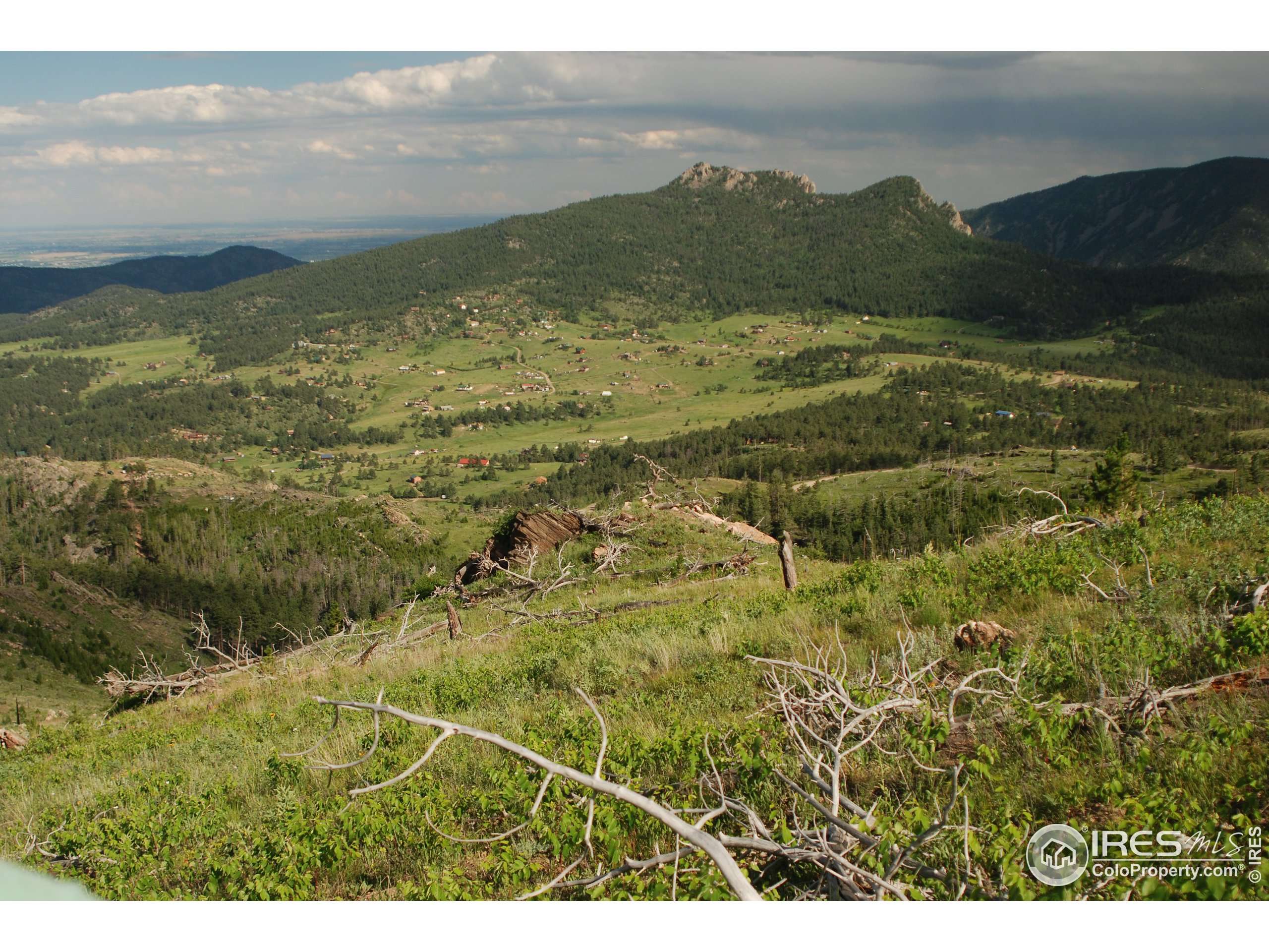 233 Jug Ct, Drake, CO 80515