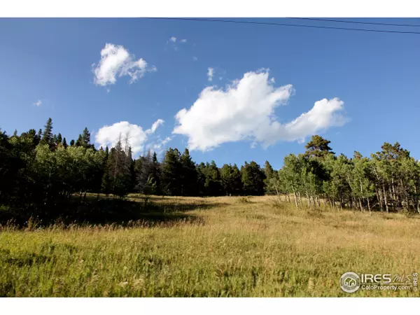 243 County Road 126, Nederland, CO 80466