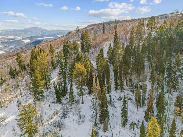 Glenwood Springs, CO 81601,4 Bear Lane