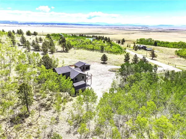 1424 Sheep Ridge Rd, Fairplay, CO 80440