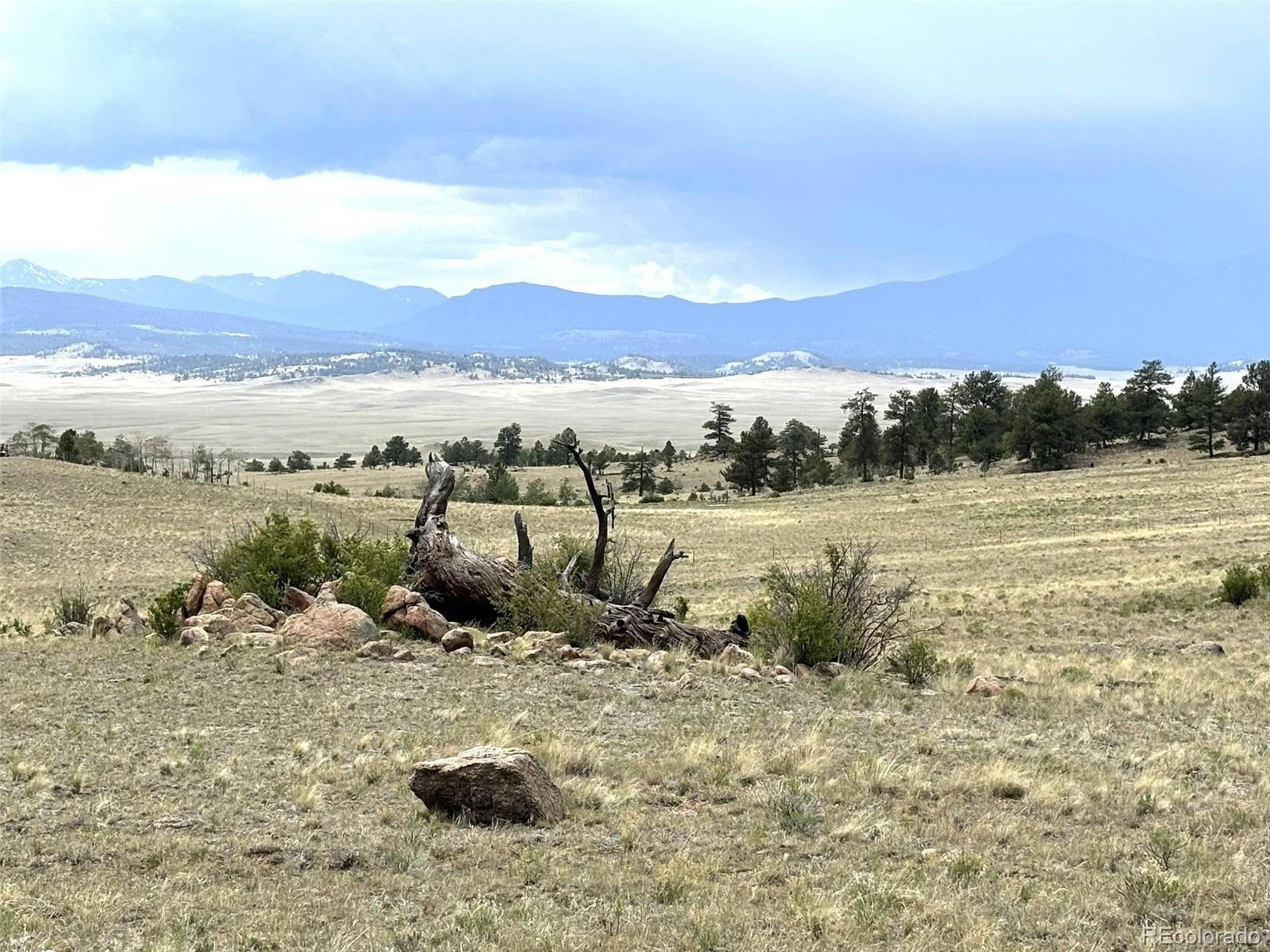 Hartsel, CO 80449,1750 Mahican Rd