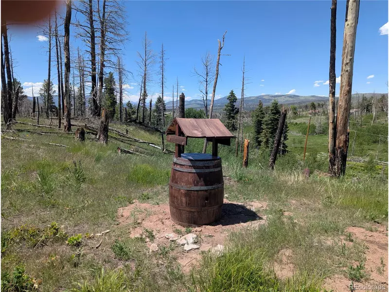 954 Forbes Park Rd, Fort Garland, CO 81133